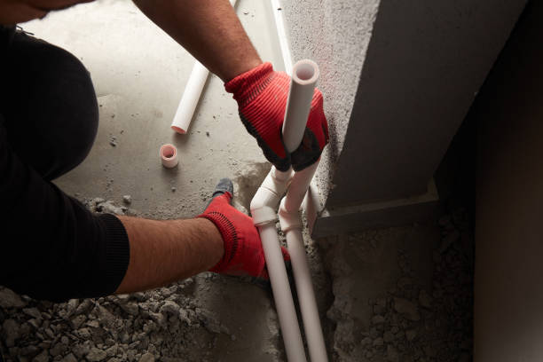 Best Local Plumber Services  in Pine Nyon, CA