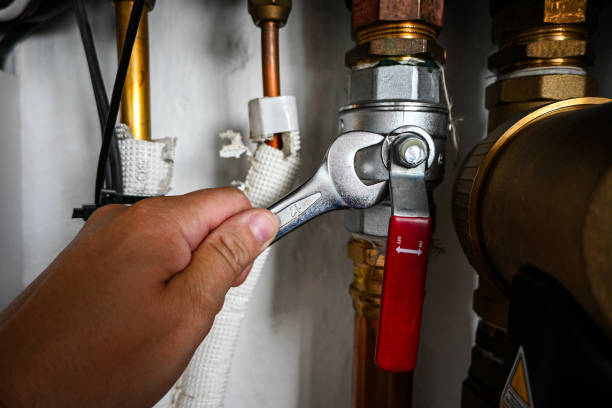 Professional Plumbing in Pine Canyon, CA